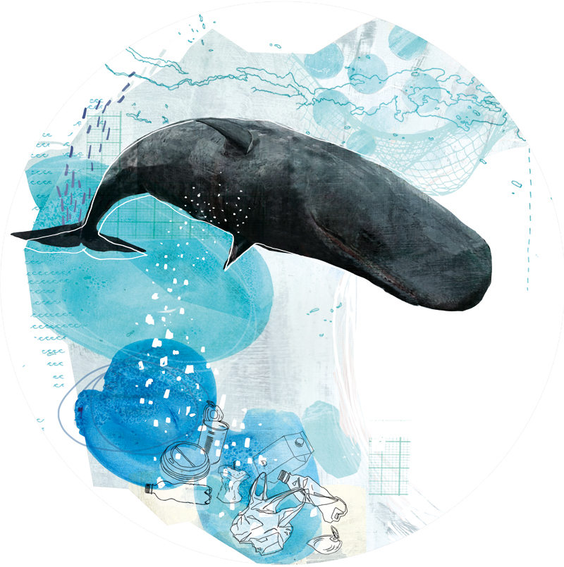 tina-zellmer-coaster-whale whale, #illustratorswhocare, agm, annagoodsonmanagement, zellmer, enviroment, plastic, müll
