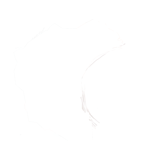 zellmer animation whale